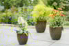 Sada 3 květináčů Leon forest D36 H36