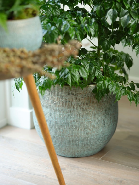 1_Ryan_shiny_blue_06