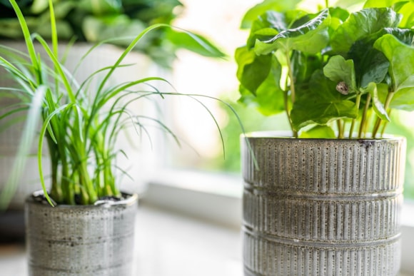 2_Denise_off_white_05