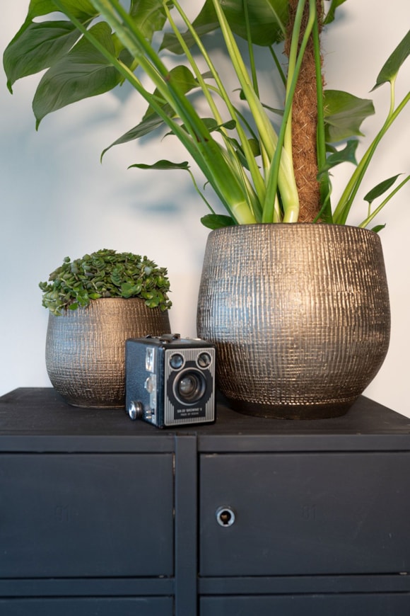 2_Ryan_shiny_gold_04