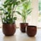 Set 3 obalů Indra rustic brown D40 H32