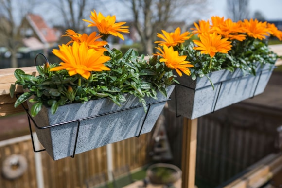 4_Nimar_concrete_06_1