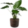 Sada 4 obalů Arwin rustic black D26 H22