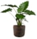 Sada 4 obalů Arwin rustic black D26 H22