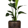 Sada 3 obalů Arwin rustic black D39 H35
