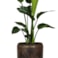 Sada 3 obalů Arwin rustic black D39 H35