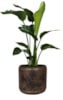 Sada 3 obalů Arwin rustic black D39 H35