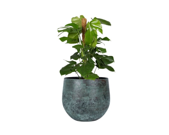 5_165565_5_1
