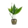 Obal Face forest D8 H7