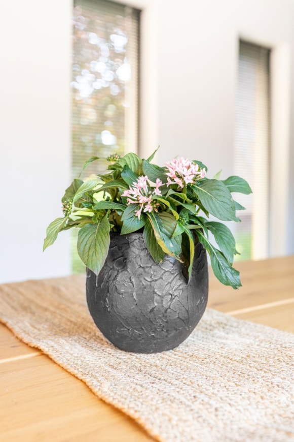 1_Evi_midnight_black_01