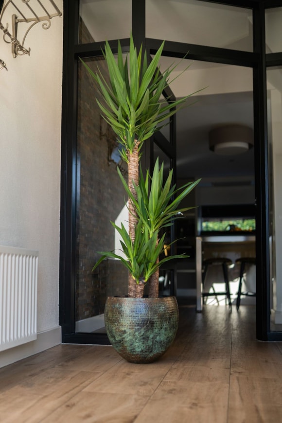 1_Fabien_mystic_green_01