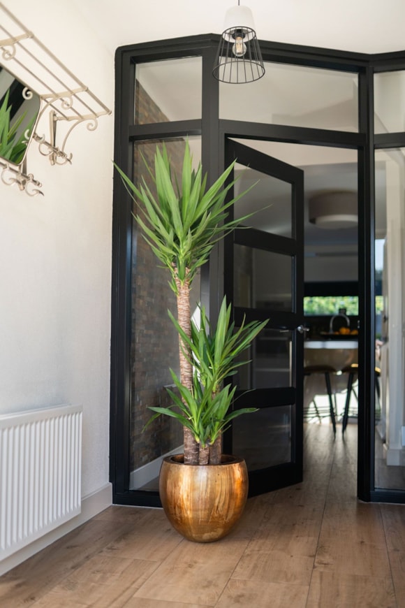 1_Fabien_old_camel_02