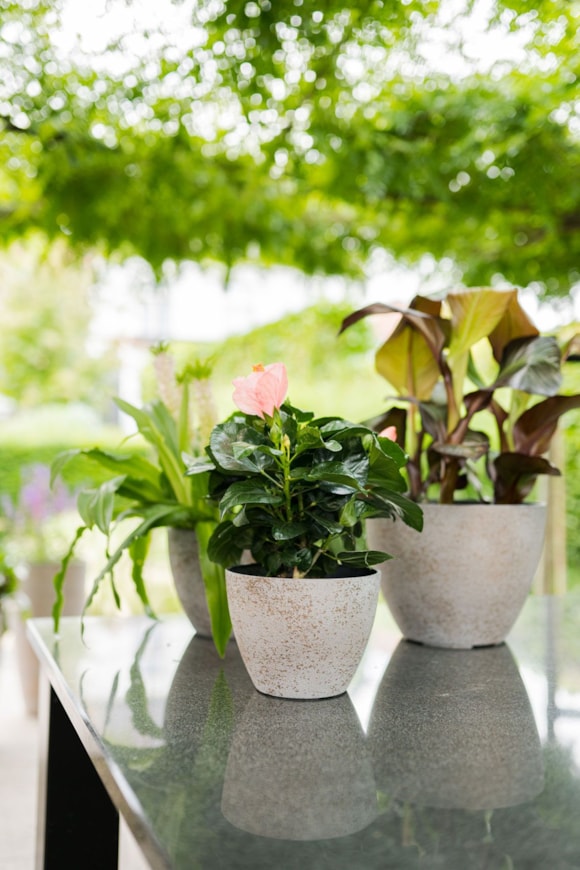 1_Nova_concrete_gold_04