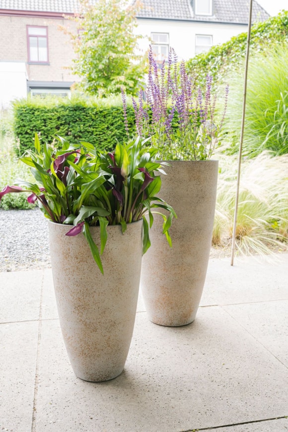 1_Nova_concrete_gold_05