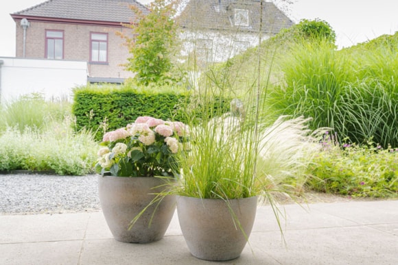 1_Nova_concrete_gold_16