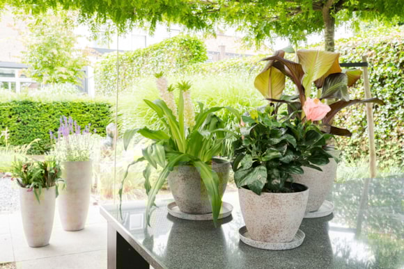 1_Nova_concrete_gold_22