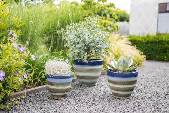 1_Ruben_oasis_blue_02_1