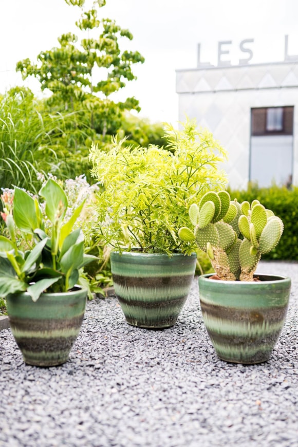 1_Ruben_oasis_jade_04