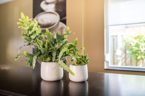 1_Sytse_matt_white_01