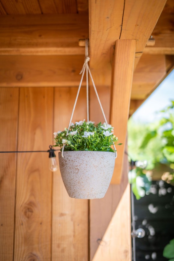 2_Nova_concrete_gold_01