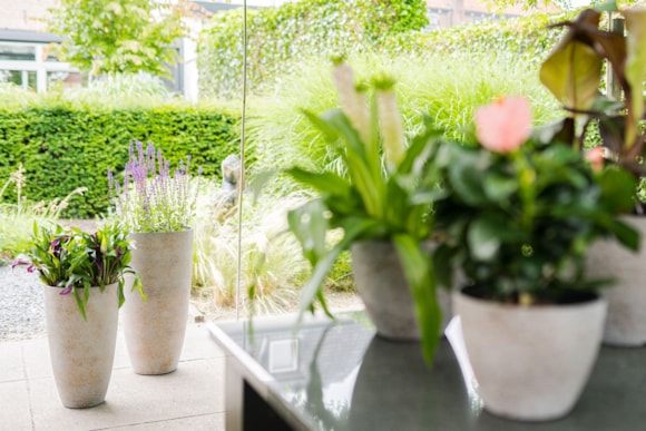 2_Nova_concrete_gold_26