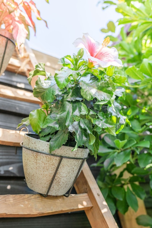 2_Nova_concrete_gold_Amy_03_1