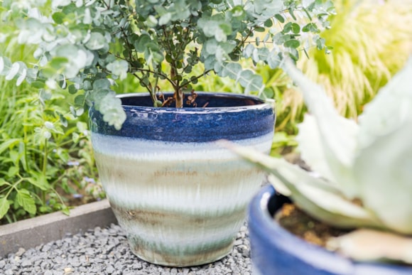 2_Ruben_oasis_blue_08_1