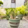 Sada 3 květináčů Ruben oasis jade D38 H32