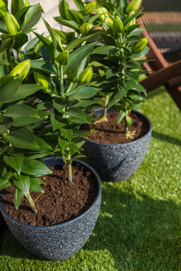 3_Nova_terrazzo_black_38