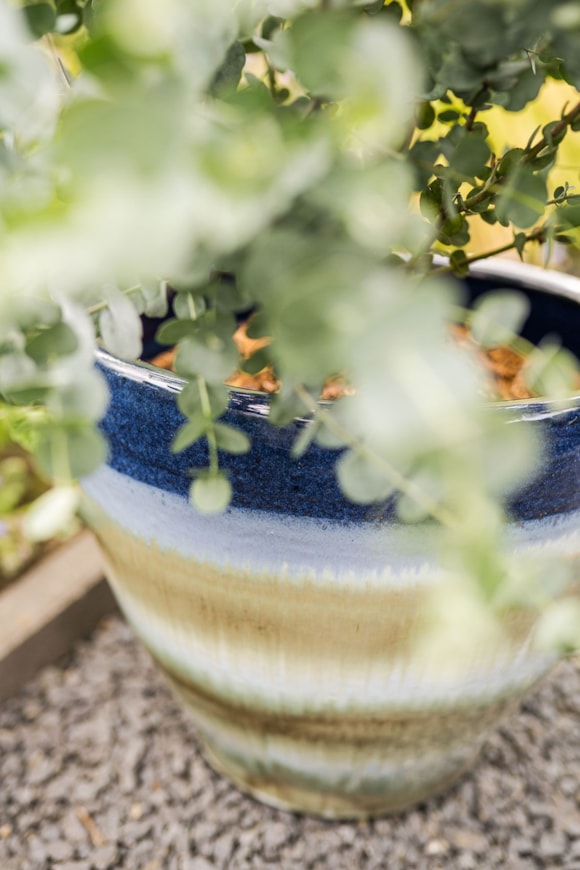 3_Ruben_oasis_blue_07_1