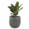 Obal Esra mystic grey D18 H16
