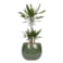 Obal Mischa forest D19 H16