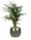 Obal Mischa forest D22 H18