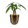 Obal Mayk gold D12 H13