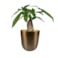 Obal Mayk gold D12 H13