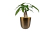 Obal Mayk gold D12 H13