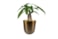 Obal Mayk gold D12 H13