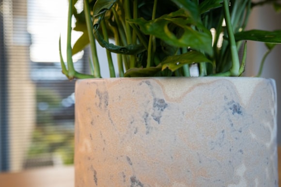 1_Linn_splashed_cream_04_1