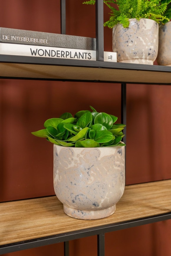 3_Linn_splashed_cream_02