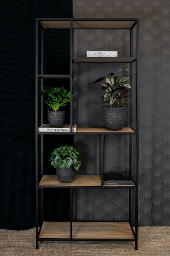 1_Rinca_shiny_black_03_3