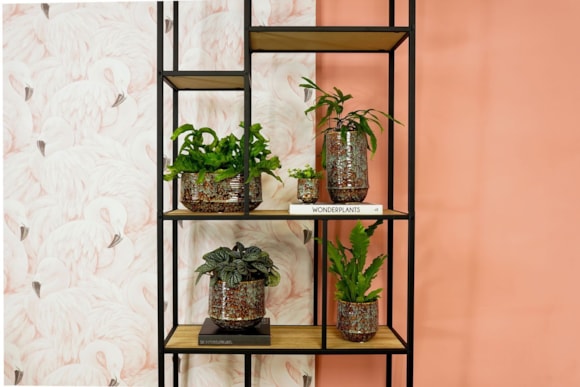 3_Noud_marrakesh_02_4