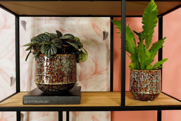 4_Noud_marrakesh_05_4