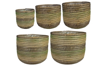 Sada 5 obalů Jane jungle D37 H31