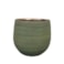 Obal Lydia shiny green D26 H26