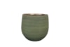 Obal Lydia shiny green D26 H26