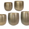 Sada 5 obalů Rowen gold D60 H62