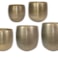 Sada 5 obalů Rowen gold D60 H62