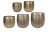 Sada 5 obalů Rowen gold D60 H62