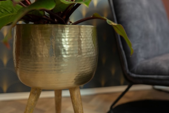 1_Carly-brass_02