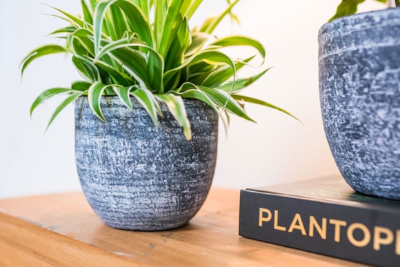 1_Cas_anthracite_02_1